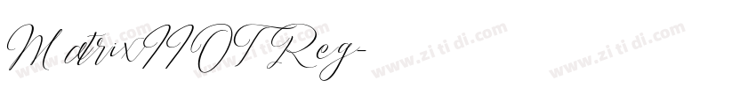 MatrixIIOT Reg字体转换